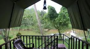 360 Rainforest - Image 5