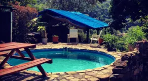 Jungle Monkey Backpackers - Image 5