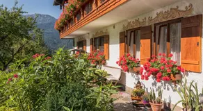 Gästehaus Sonnenbichl - Image 4
