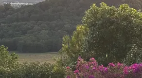 River Rock Retreat - Image 5