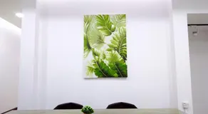 Greenery Studio, Kubot a Sentral - Image 5
