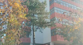GLI ELEMENTI Affittacamere Pieve Emanuele - HUMANITAS, IEO, MILANO CENTRO E FORUM ASSAGO - Image 2