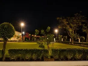 The Purple Mango  - Image 2
