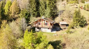 Chalet a Didi - Alps Paradise - 4 Vallees - Image 5