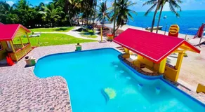 Tropical Paradise Express - Image 5