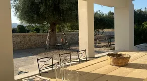 Ziran - Image 4