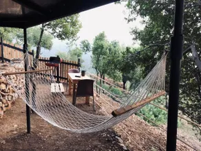 BLACKBIRD - Luxury Treehouse - Private Escape with Hot Tub and Pool - Image 4