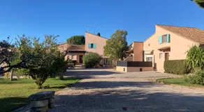 Les Bougainvillées de Camargue - Image 4