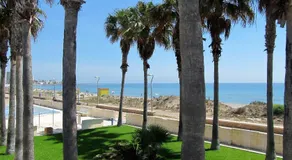 Spanish Connection - Libertad 2 Playas - Image 4
