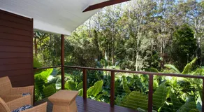 Songbirds Rainforest Retreat - Image 3