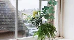 The Ivy Bank - Image 4