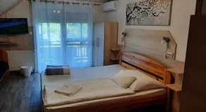 HARTMANN PANZIÓ - Image 2