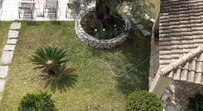 RoyalRose - Image 5