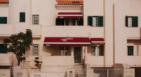 flamingos rio - Image 4