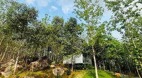 TeakNkoodu - Image 3