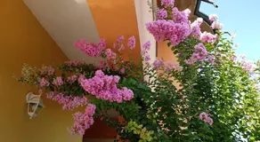 B&B Villa Giulia - Image 4