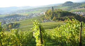 Gasthof Lamm - Image 3
