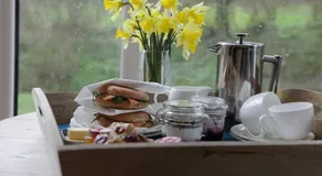 Cwmbach Lodge luxury B&B - Image 3