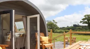Under Oak Pod - Image 3