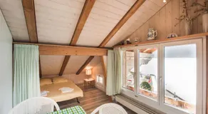 Brienzersee - Direct lake view - Image 2