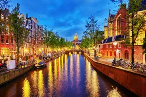 Tulips in the Heart of Amsterdam - Image 4