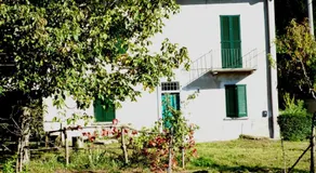 IL FAGGIO ROSSO - Image 5