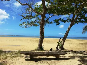 Fiji Lodge Vosa Ni Ua - Image 3