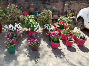 Manish Verma Home stay - Image 3