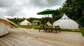 Luxury Glamping Retreat in Battle - Image 5