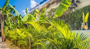 El Encuentro Surf Lodge - Image 4