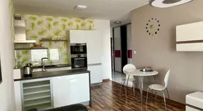Brand new apartment. Parking spot included! - Image 3
