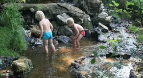 Lovely rural and quiet farmhouse with natural swimming lake - Image 5