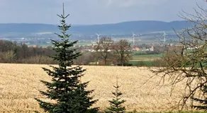 Zur schönen Aussicht - Image 5