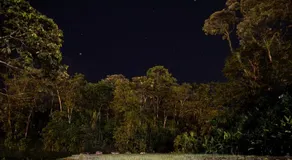 Posada Real - Image 5