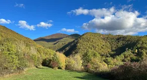 Quiet Mountain Retreat near Cabella Ligure - Image 5