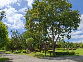 Baan Rai Khun Nai - Image 4