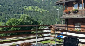 FeWo Gotschna Haus Bargis - Image 3