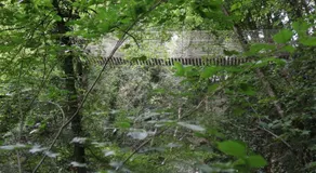 Cozy Ardennes Chalet near Durbuy - Image 5