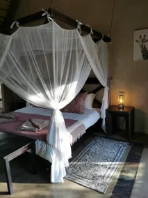 Thornhill Safari Lodge - Image 5