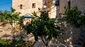 Pandera areopoli - Image 4