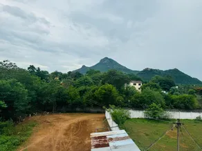 Seelin Homestay - Image 5
