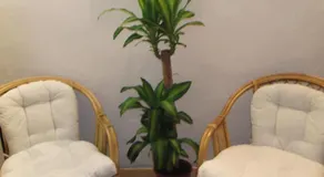 B&B Casa Fei - Image 5