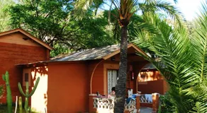 Soller Garden - Image 3