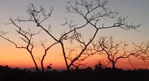 SEE CHAIN Resort - Image 4