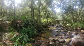 Casa de Leña - Cabaña Rural - Image 4