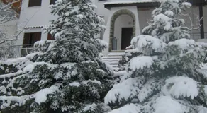 Flora's House - Image 3