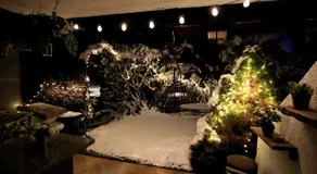 Maisalm, Apt 4 - Image 4