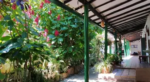 Mi Ranchito, Centro - Image 5