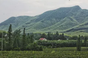 Faraway  Mountain - Image 5