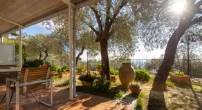 Tra Gli Ulivi - Image 3